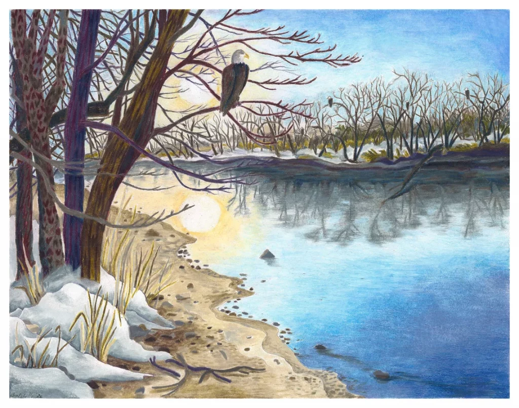 Eagles on the Iowa River, by Jill Estelle