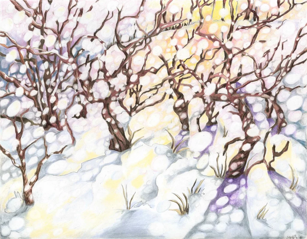Snowstorm Sunlight, by Jill Estelle