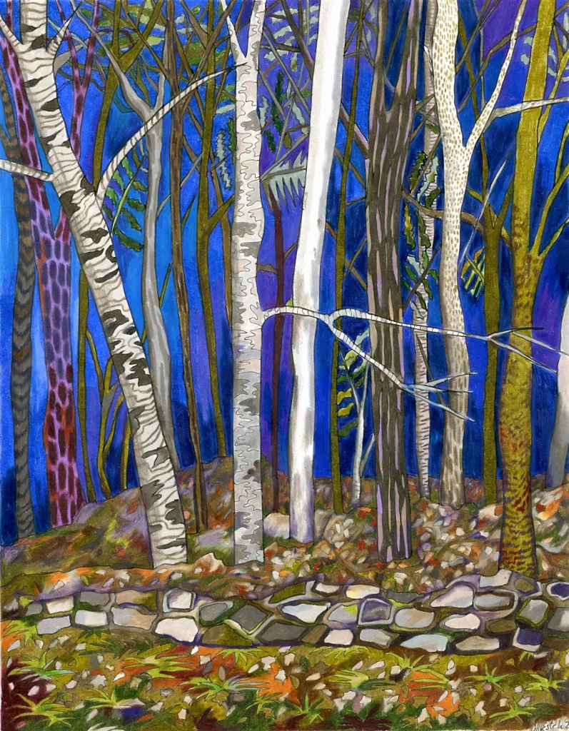 Vermont Birch Trees, by Jill Estelle