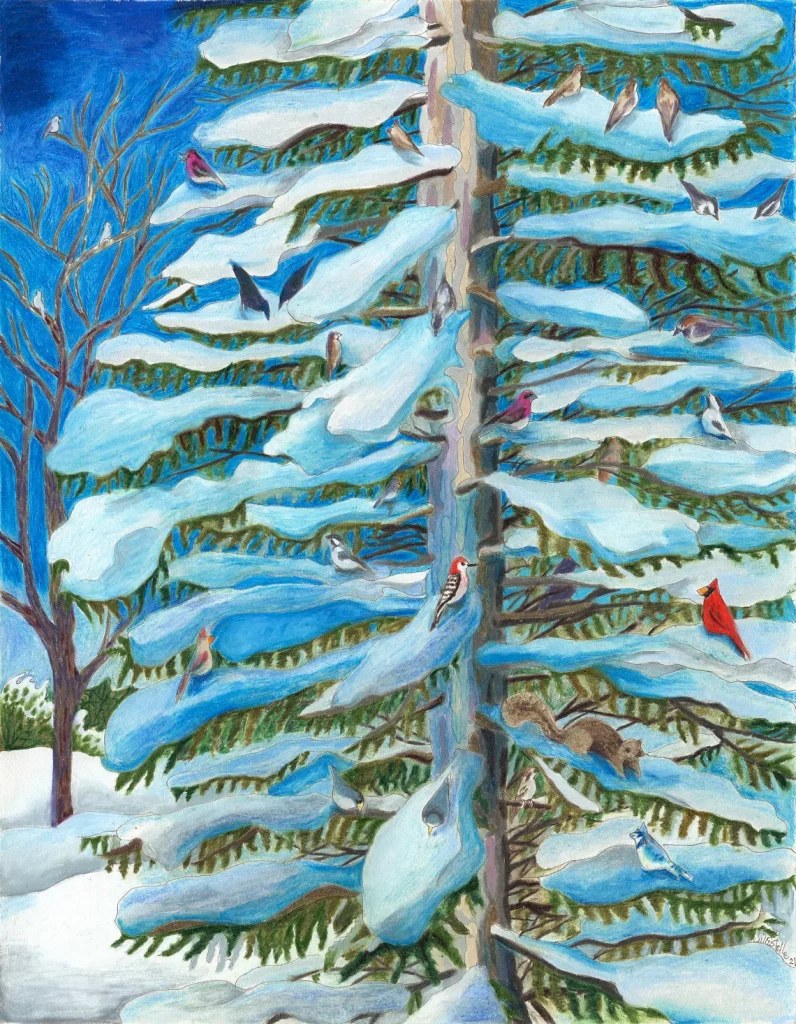 Winter Pine Tree, by Jill Estelle